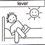 lever
