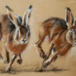 deux-lievres-en-course-web