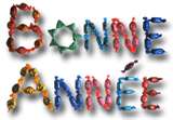bonne annee